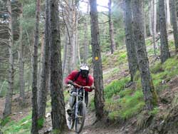 cycles et nature a vallnord pour la dh cup